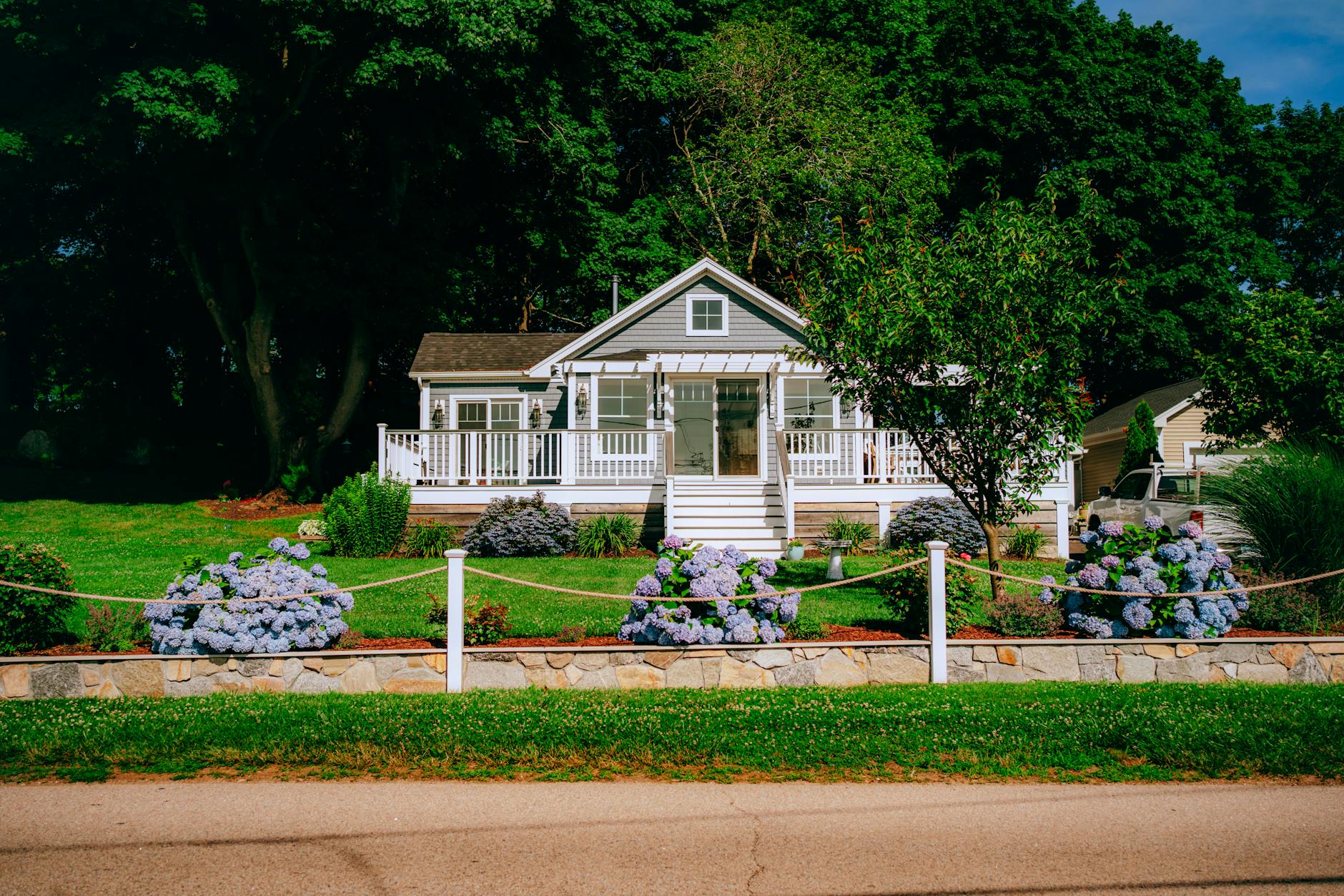 Grey-shingle New England cottage with a covered porch and blooming blue hydrangeas on a summer day