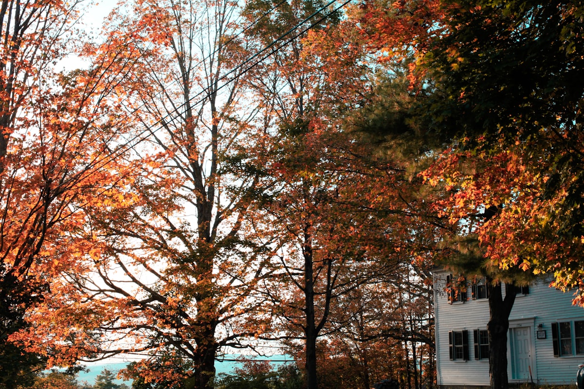 New England colonial home surrounded by autumn foliage, representing Hooksett NH real estate