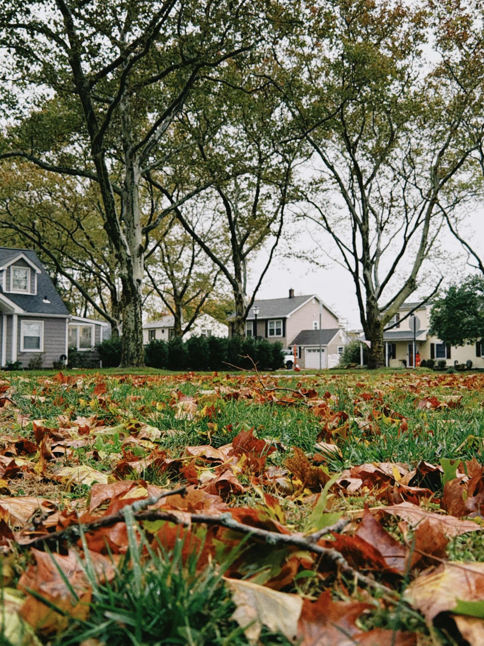 New England suburban neighborhood with autumn foliage — Southern NH towns Windham and Londonderry