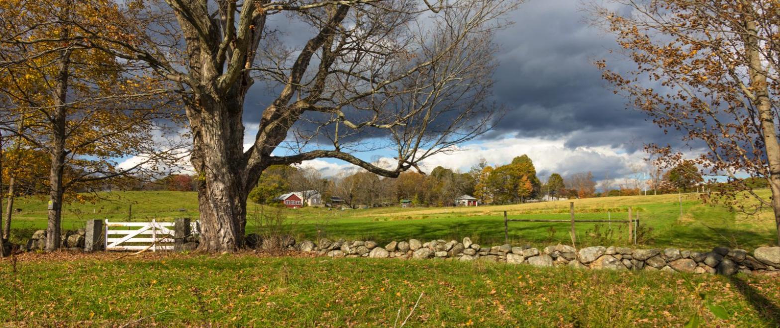Old maple tree, white farm gate and fieldstone wall along a New England pasture with a red barn and farmhouse in the distance under an autumn sky, the kind of rural lot suited to an Amherst NH ADU