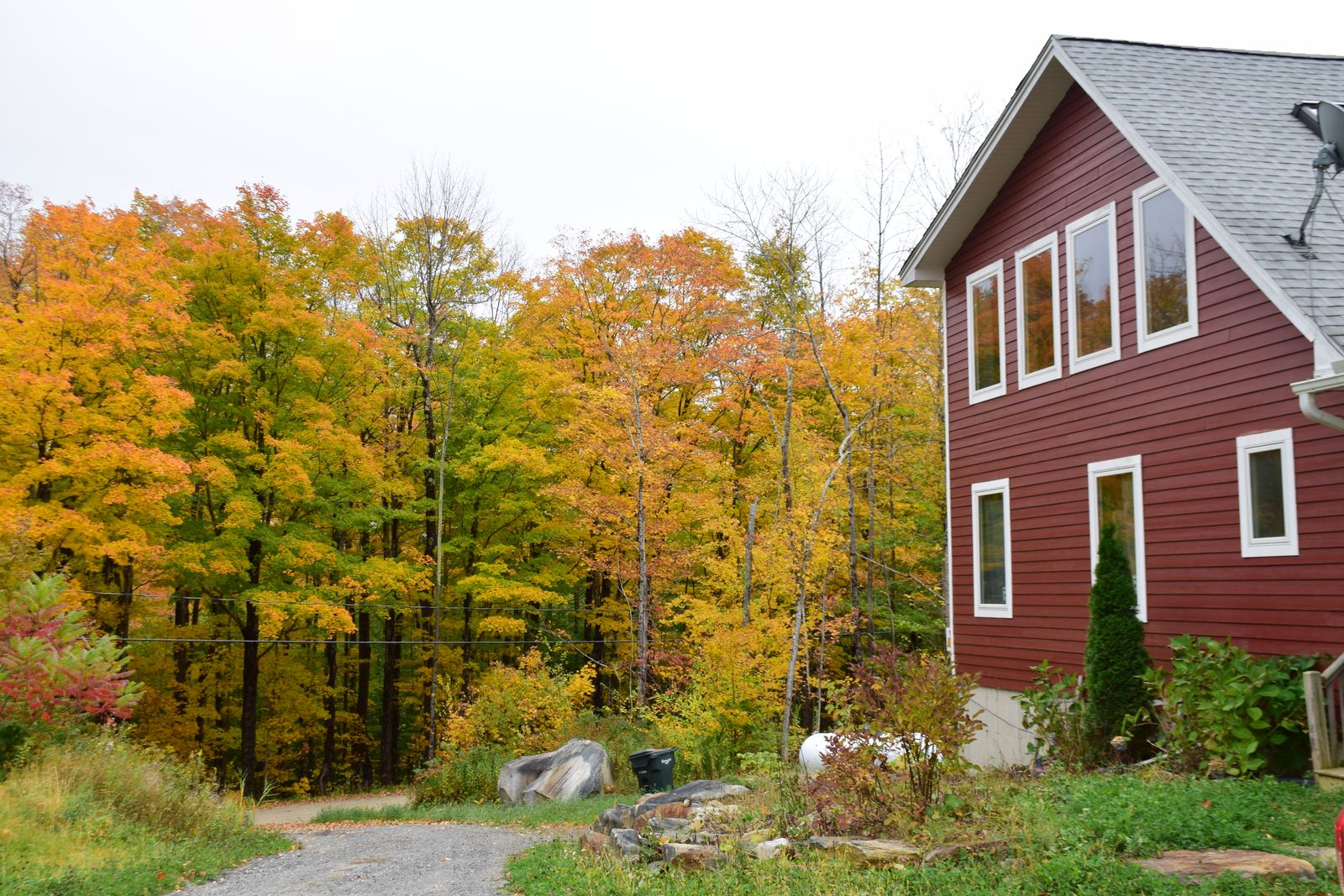Red two-story home beside peak-color maples on a gravel drive in New England - making an offer on a house in NH