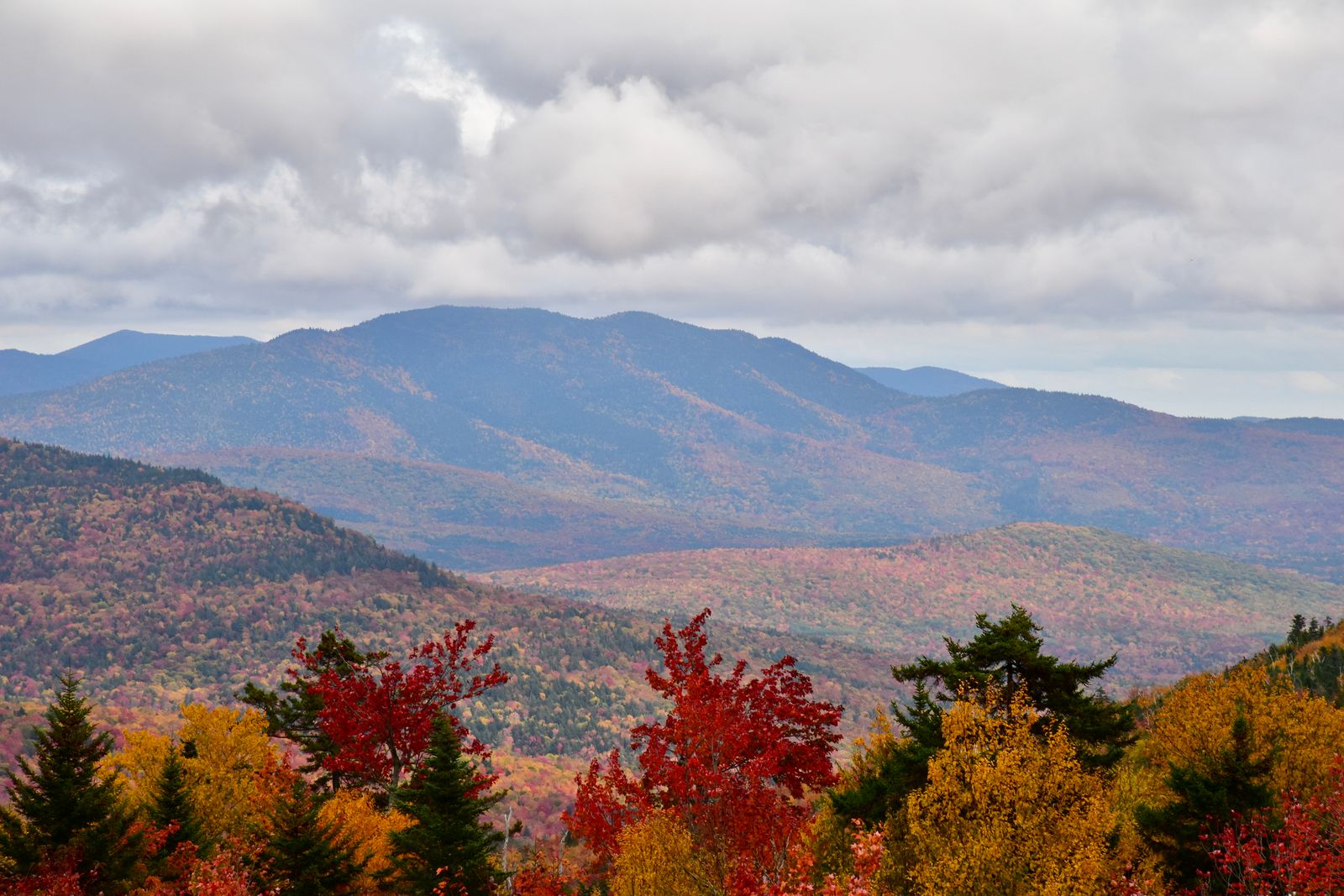 Peak-fall red and gold foliage over layered New Hampshire hills, the trail country dog owners move to the state for