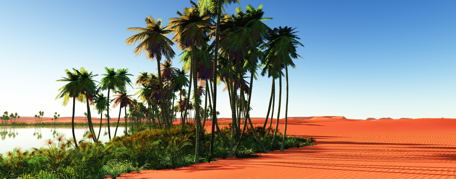 Is Your Home An Oasis for Buyers? header image.