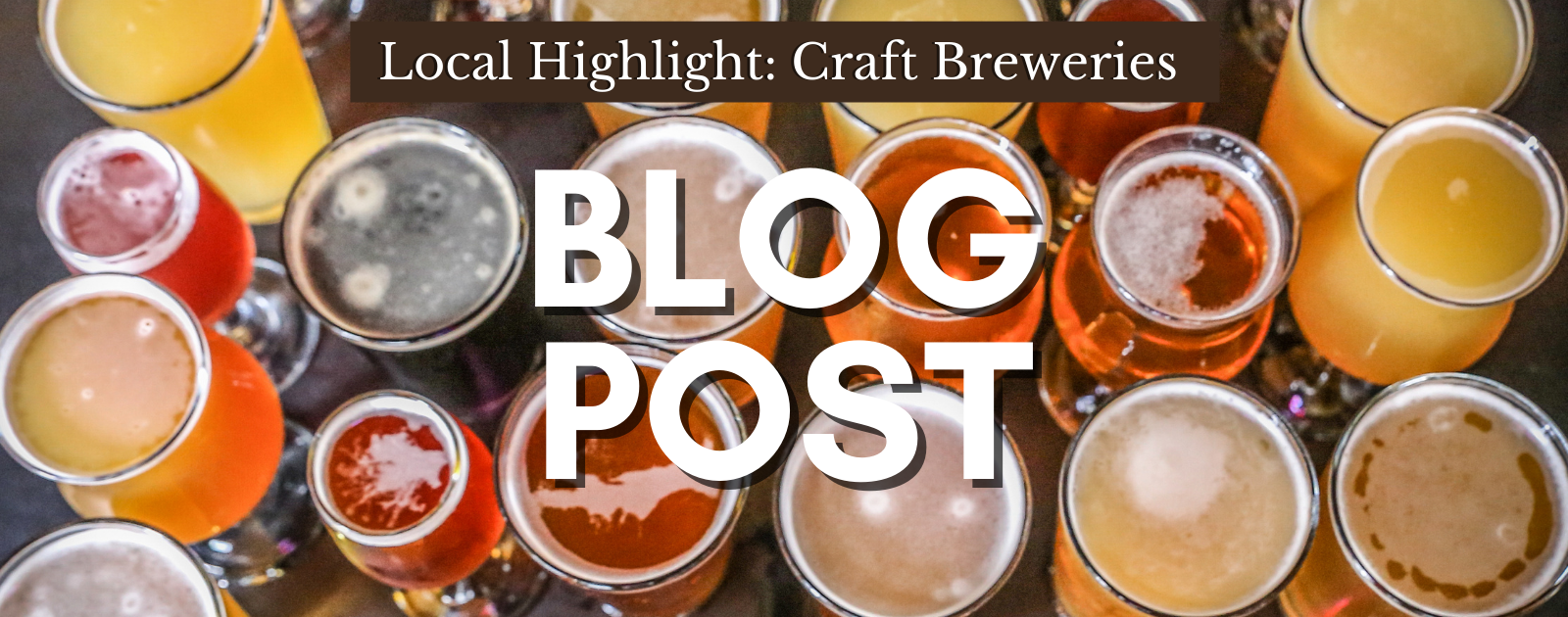 Local Spotlight: Craft Breweries header image.