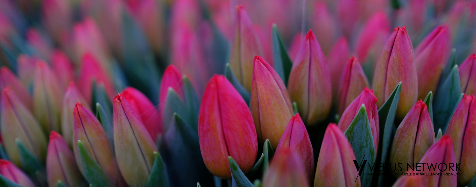 What's Happening Around Town: April Events header image.