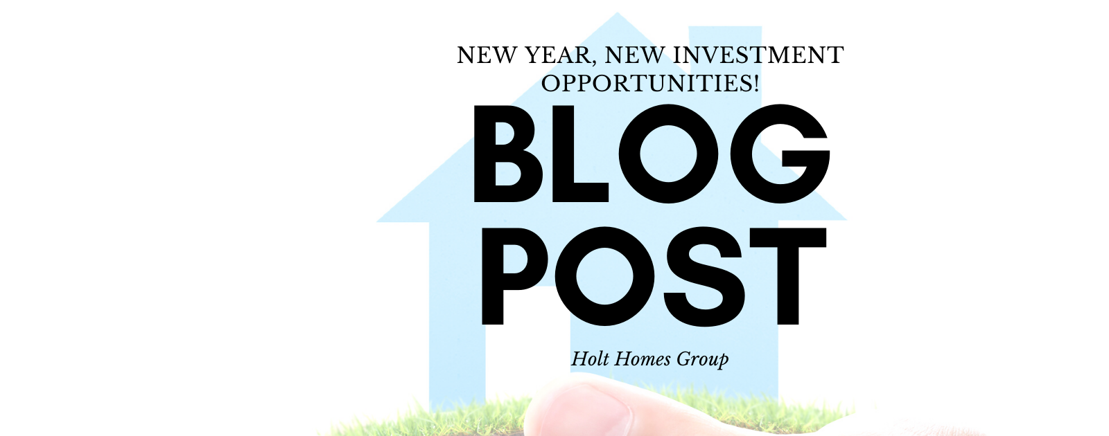 New Year, New Investment Opportunities! header image.
