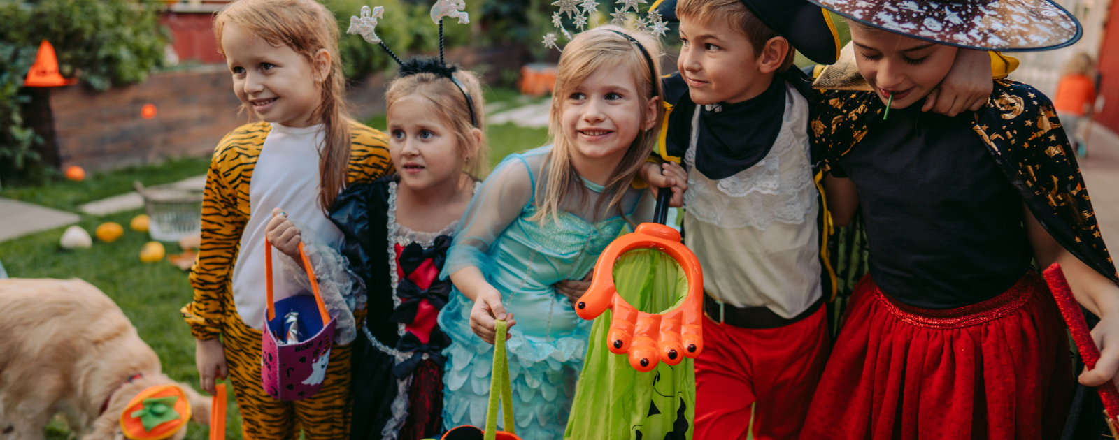 Fall Fun: Trunk or Treats! header image.