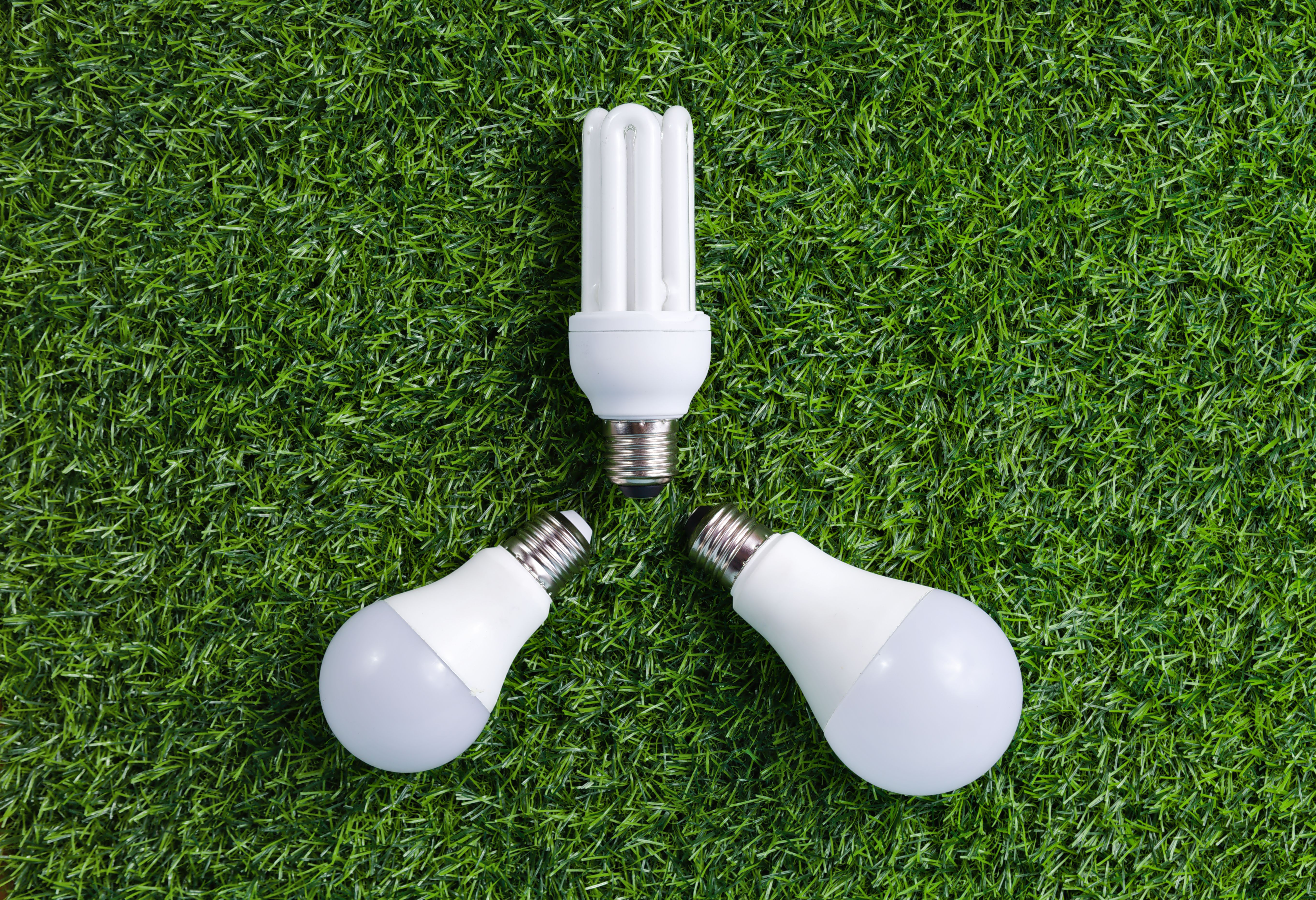 Three light bulbs in a circle on grass
