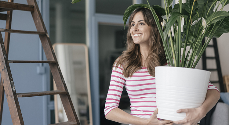 4 Tips To Prep for Your Home Sale This Fall header image.