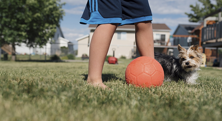 Two New Surveys Indicate Urban to Suburban Lean header image.