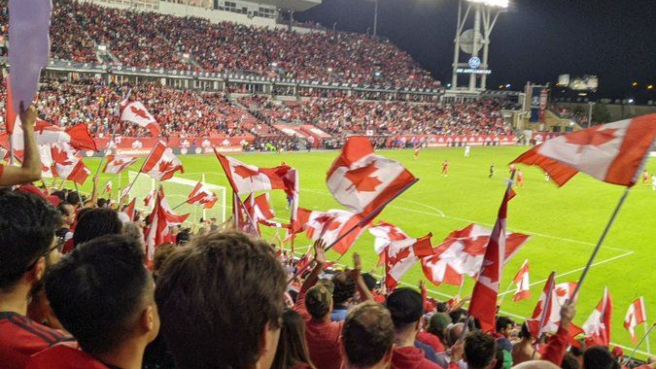 The Starke Group Is Rallying Behind Team Canada header image.
