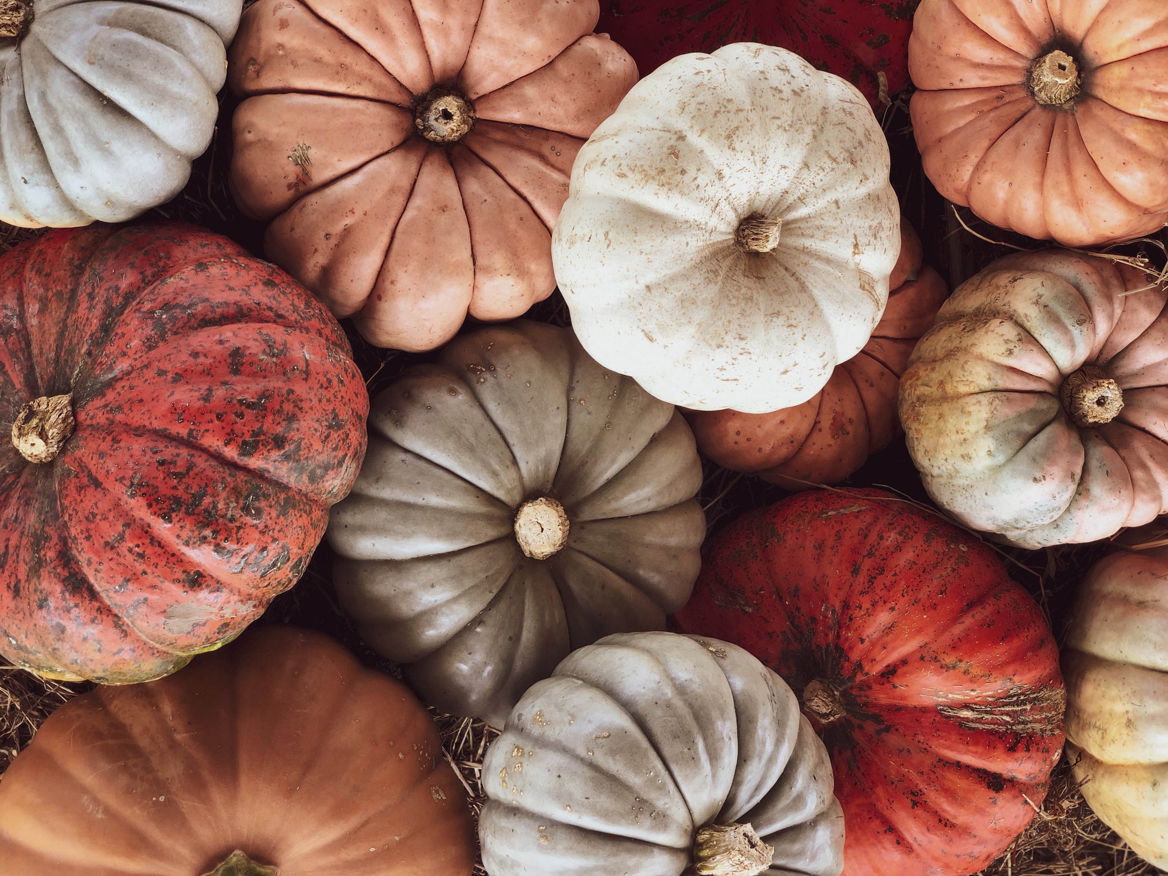 Feeling Festive? header image.