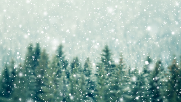 Exploring the Holiday Magic: Top Things to Do Locally (and surrounding areas) header image.