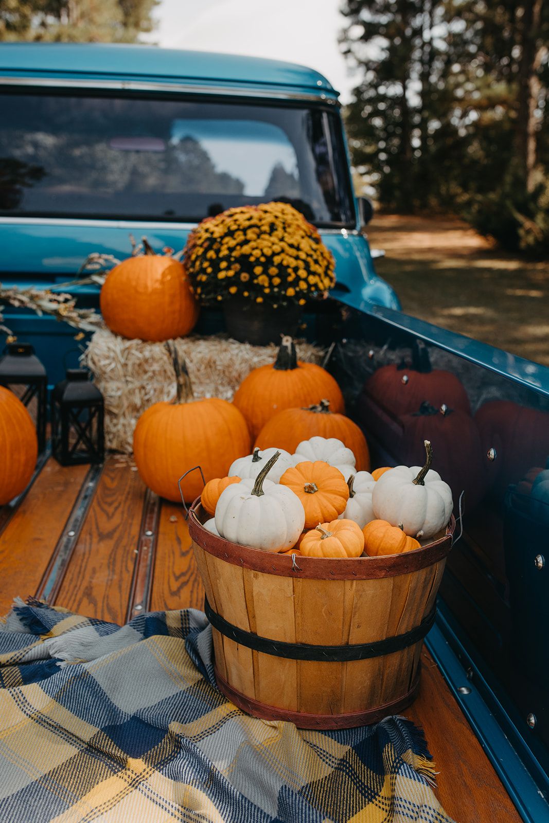 4 Local Fall Events to Enjoy with Your Family header image.
