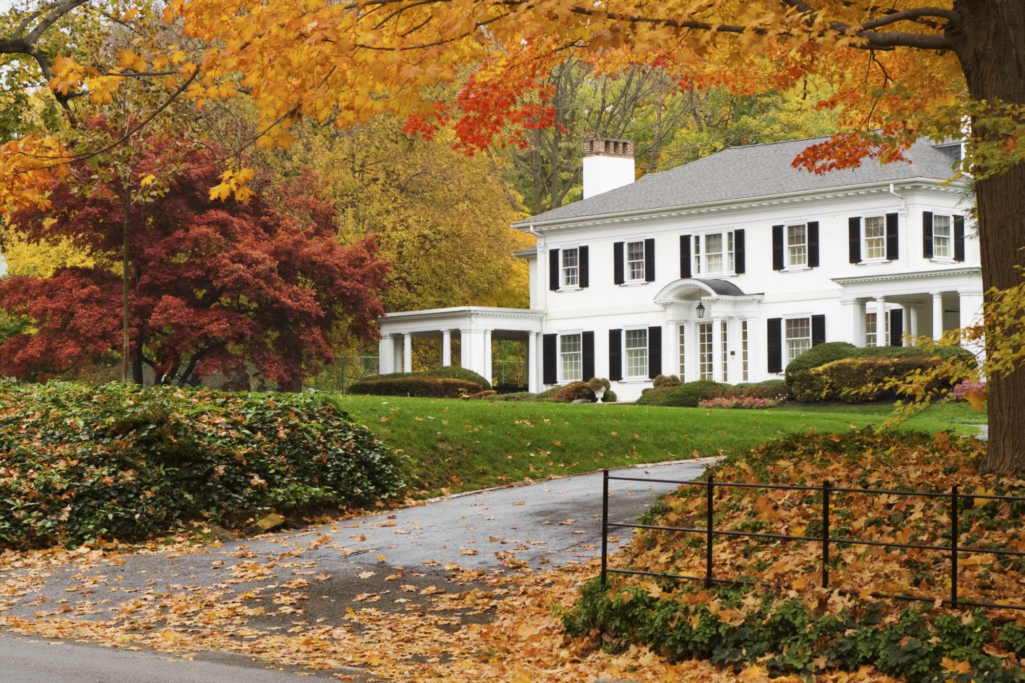 Fall House Hunting: Embrace the Cozy Charm of Autumn header image.