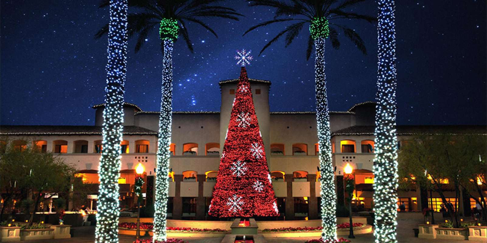 Christmas at the Princess 2024: What's new at the family-favorite holiday lights header image.