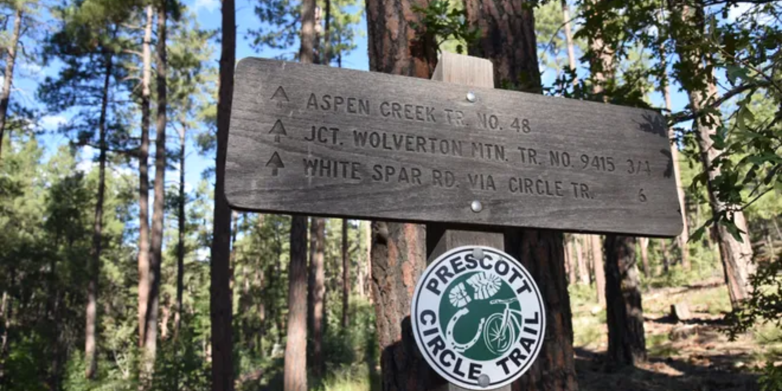 This new Arizona hike will be golden when the aspens turn. Here's how to try it header image.