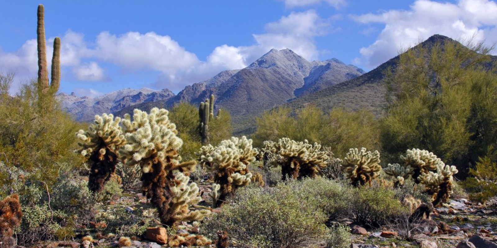 9 Arizona cities rank as best places for families; one tops the nation header image.