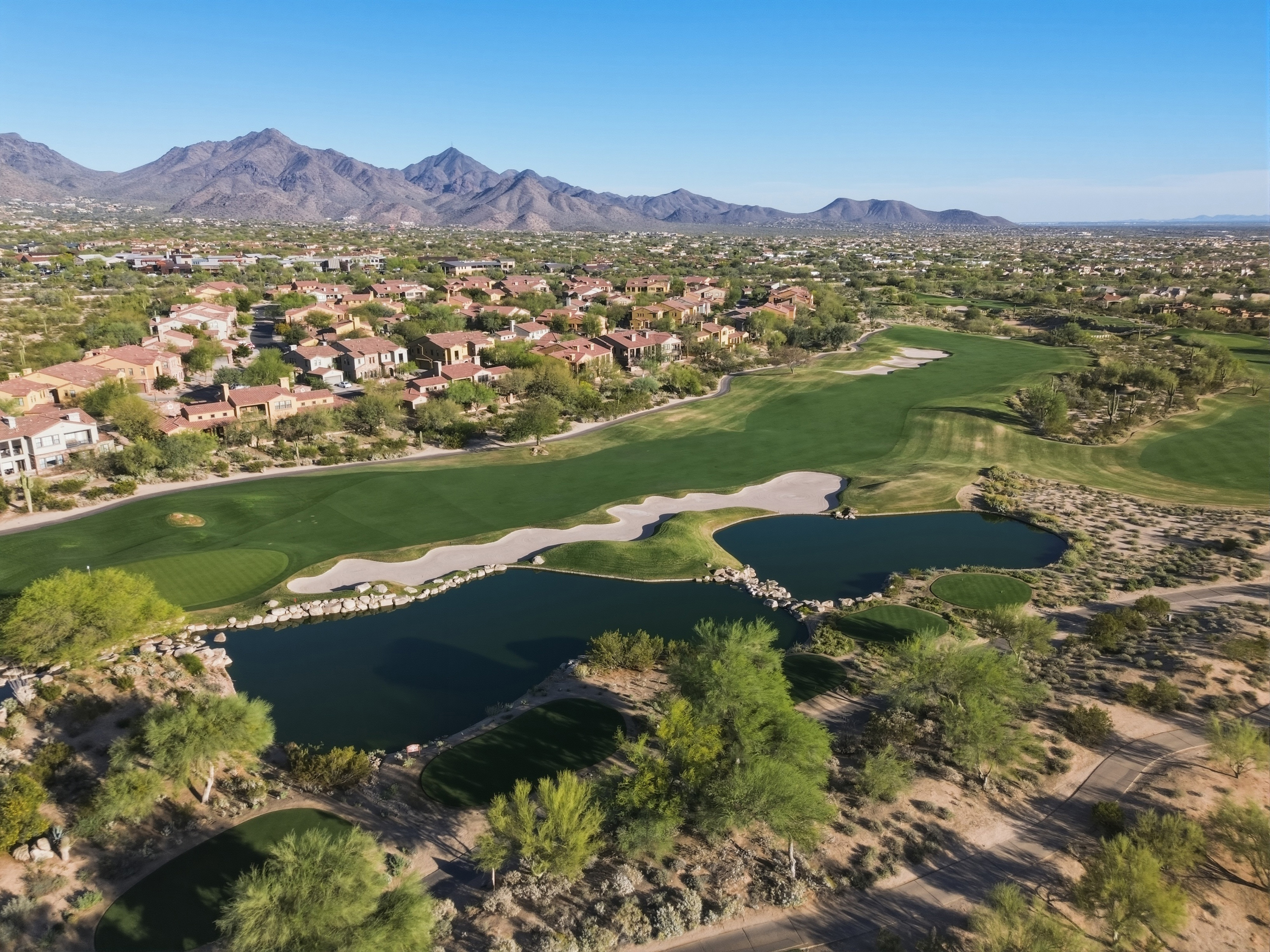 Grayhawk