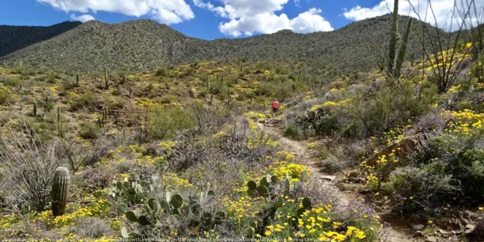 Arizona's 5 best national parks: An insider's guide to plan your dream trip header image.