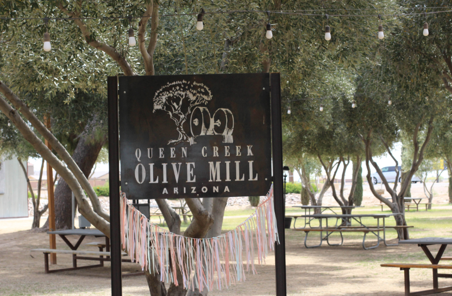 Unveiling the Charms of the Queen Creek Olive Mill header image.