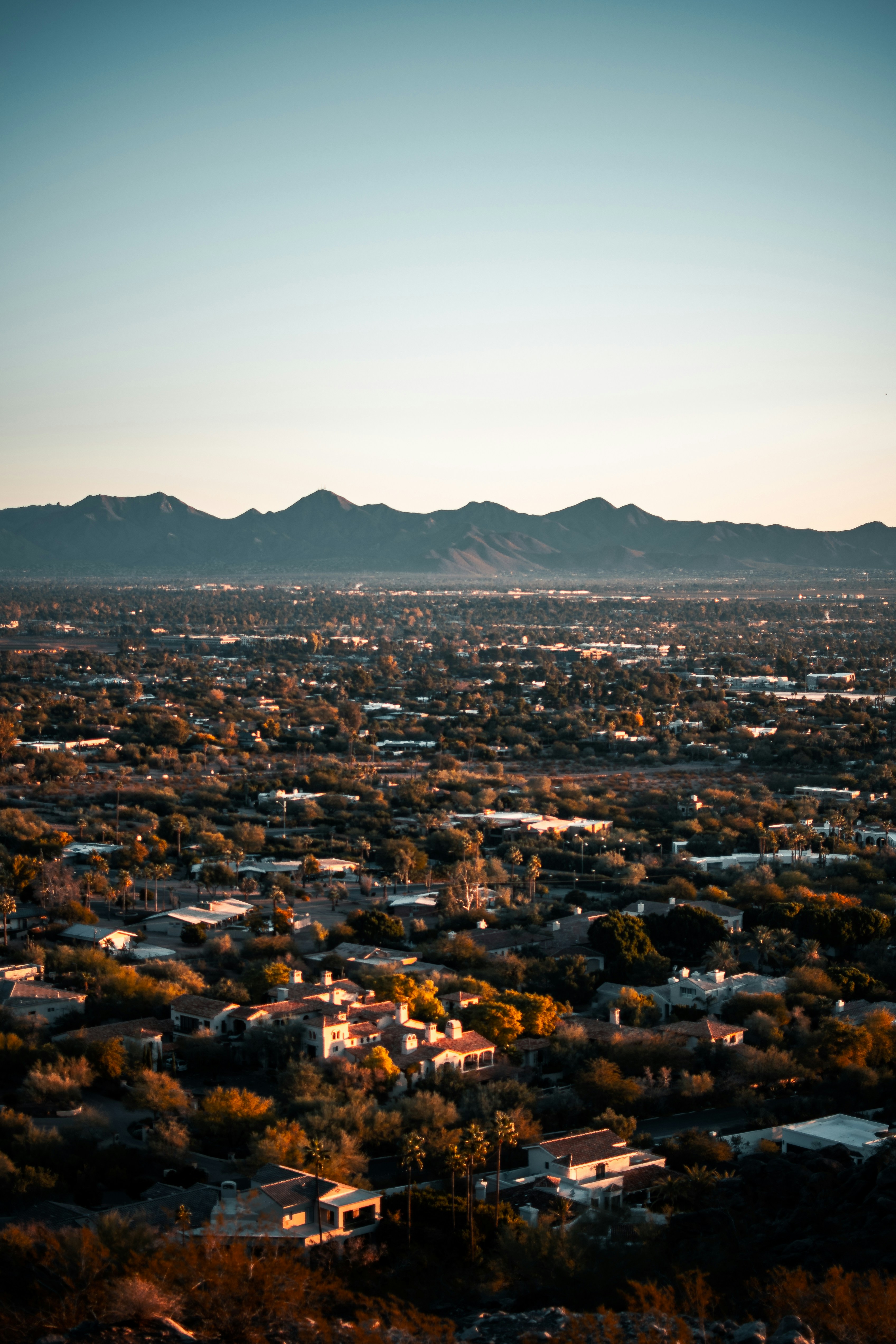 Phoenix