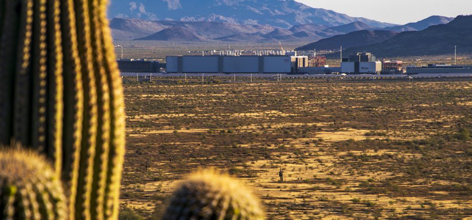 DESERT DREAMS: How a state land auction will reshape the future of Phoenix header image.