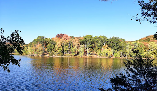 Welcome to Brentwood, TN header image.