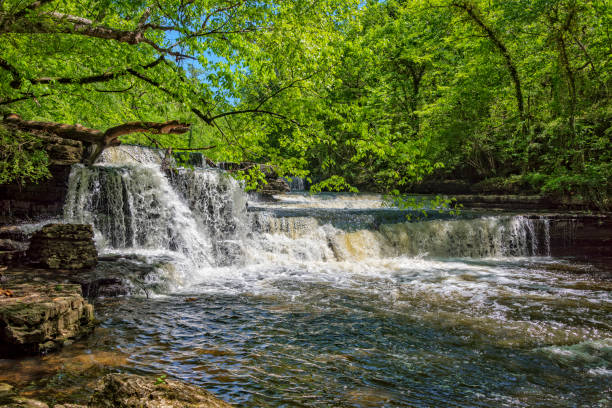 Top 5 Things To Do In Manchester, Tennessee header image.