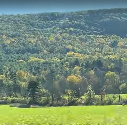 Land Buying Tips for Upstate New York header image.