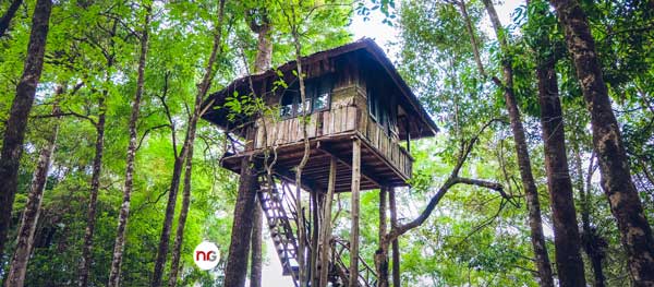 5 Step Strategy for Downsizing Your Home header image.