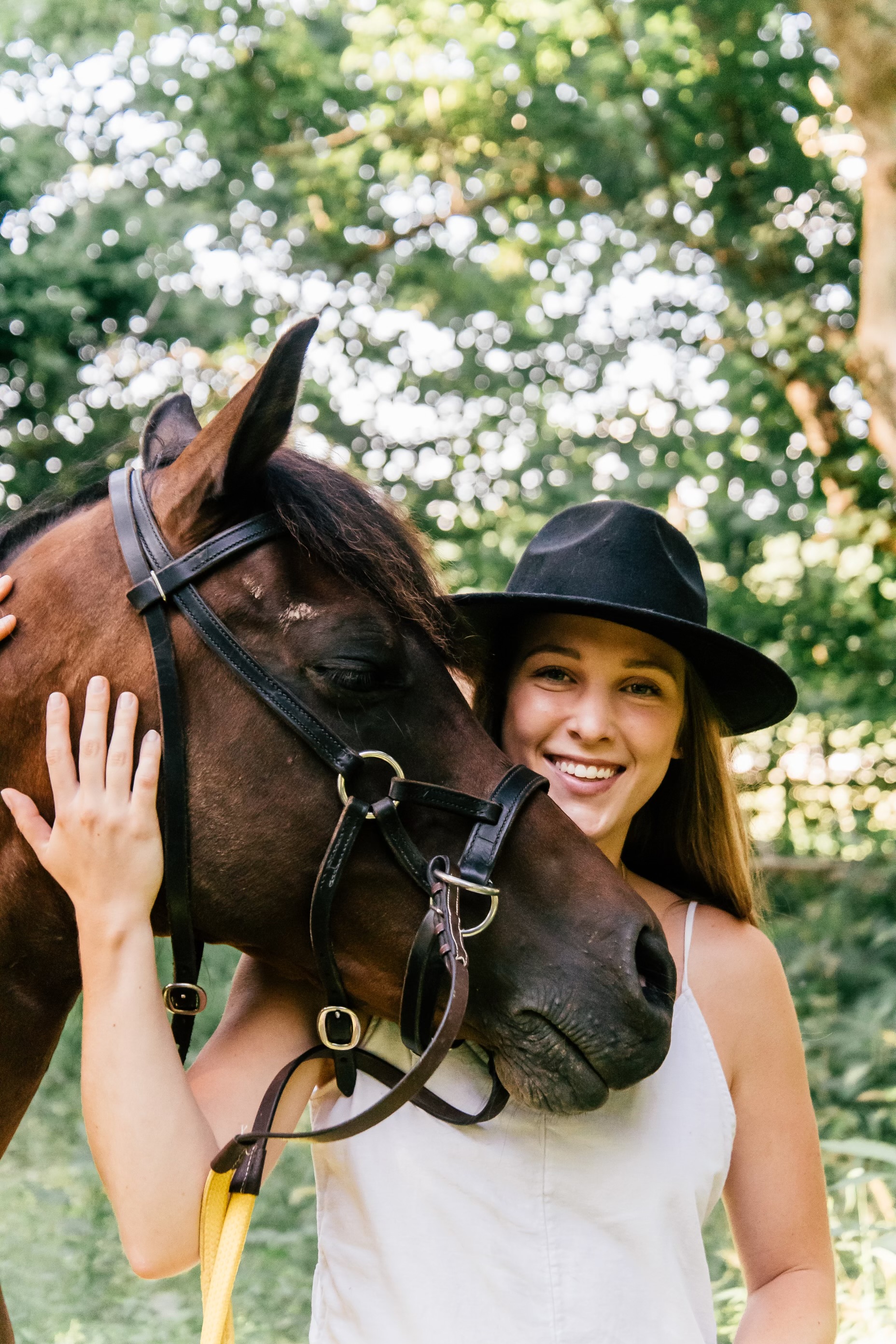 🌟 Discover Luxury Living in Ocala & Clermont, Florida header image.