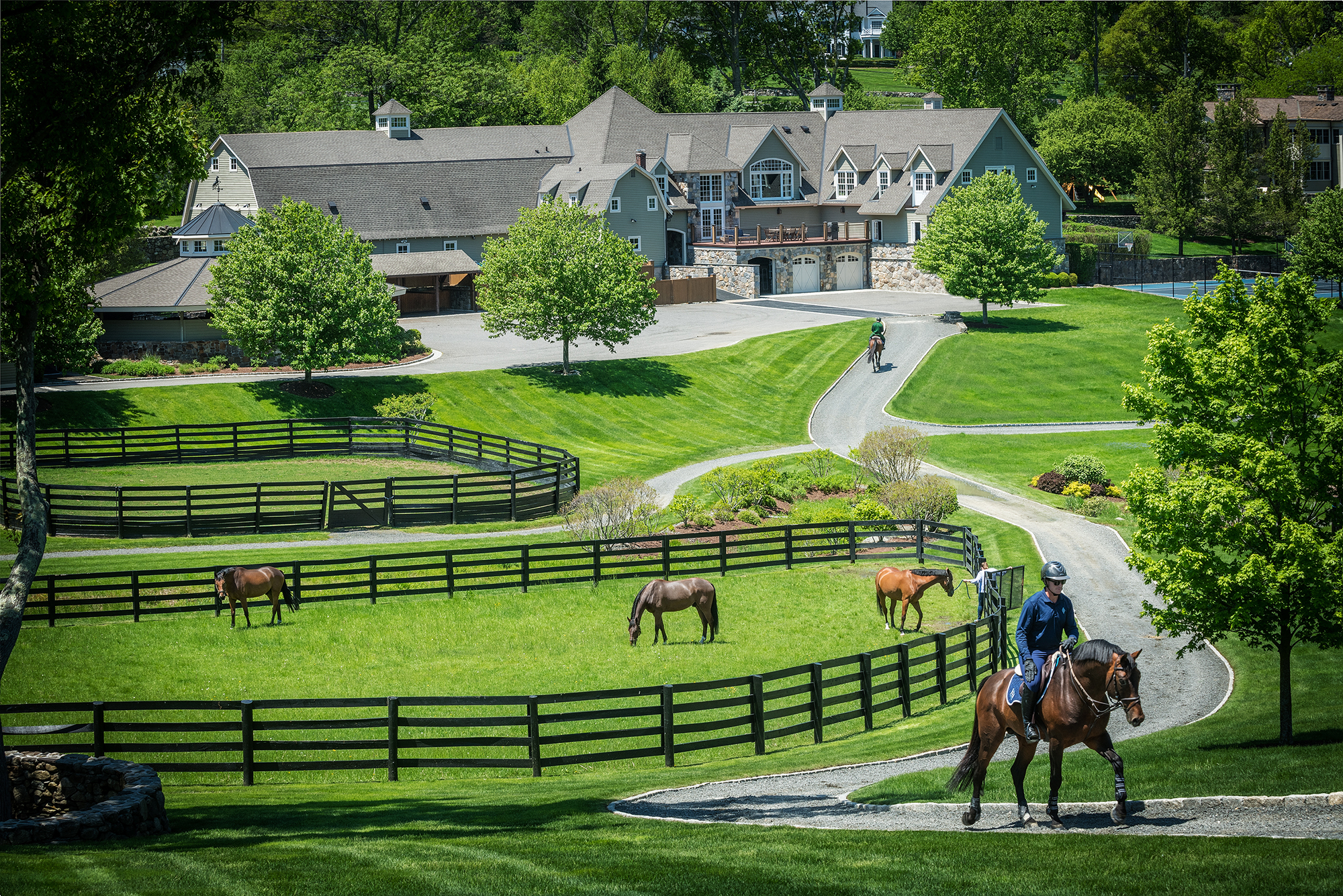 Equestrian Estate