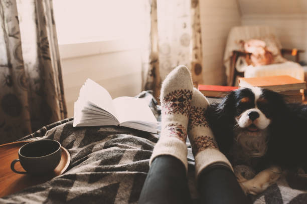 Coziest Ways to Spend an October Sunday in Southern NH 🍂☕️ header image.