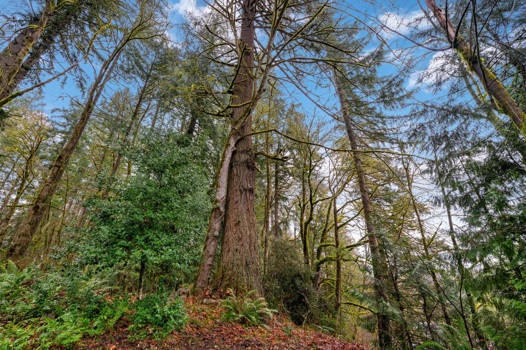 What Are the Risks of Buying in an Unincorporated Area? header image.