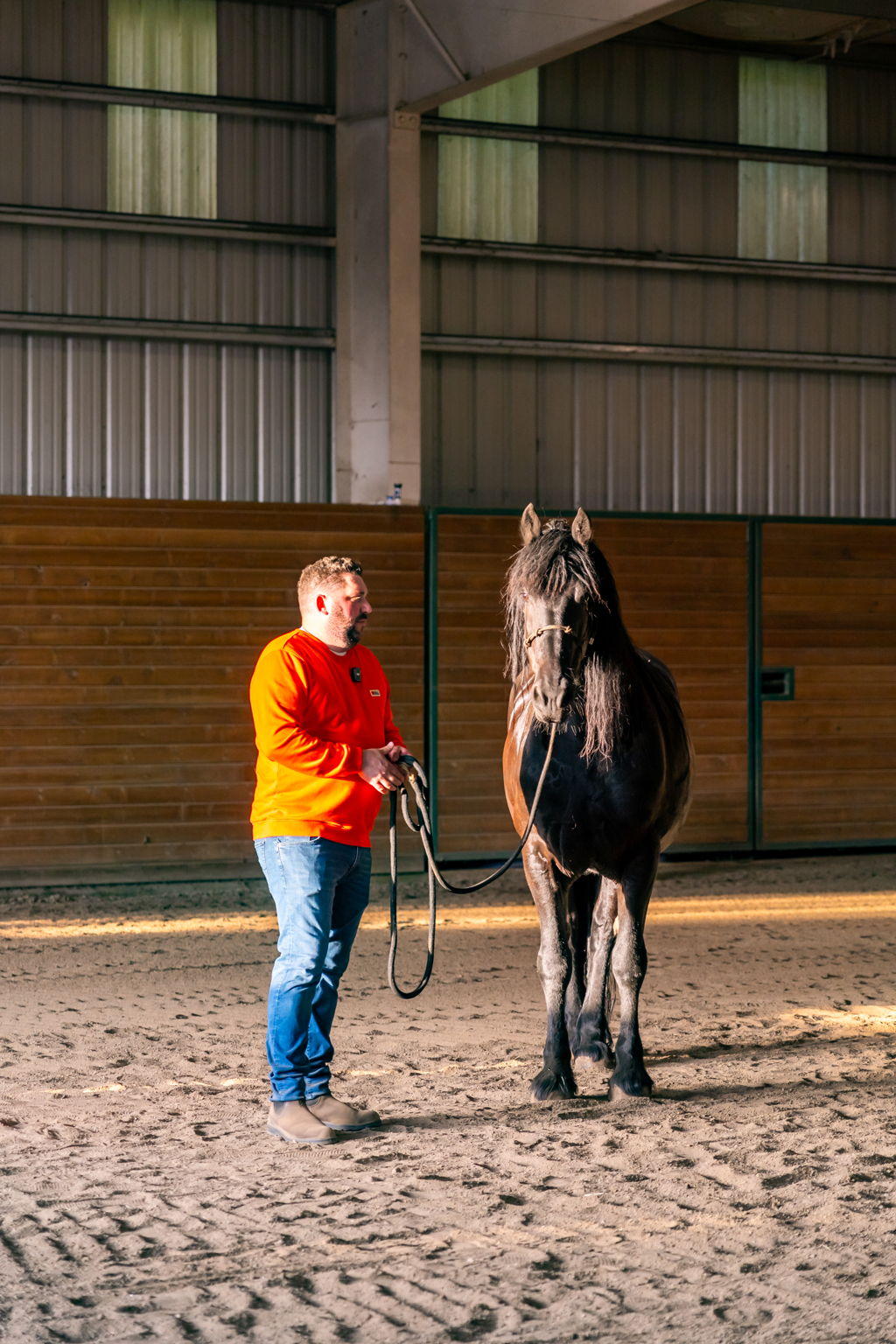 What Should I Look for in an Equestrian Property Real Estate Agent? header image.