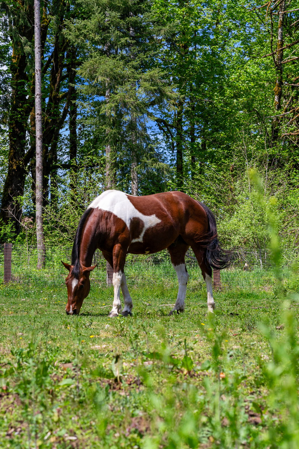 What’s Your Strategy If My Property Isn’t Getting Showings? header image.