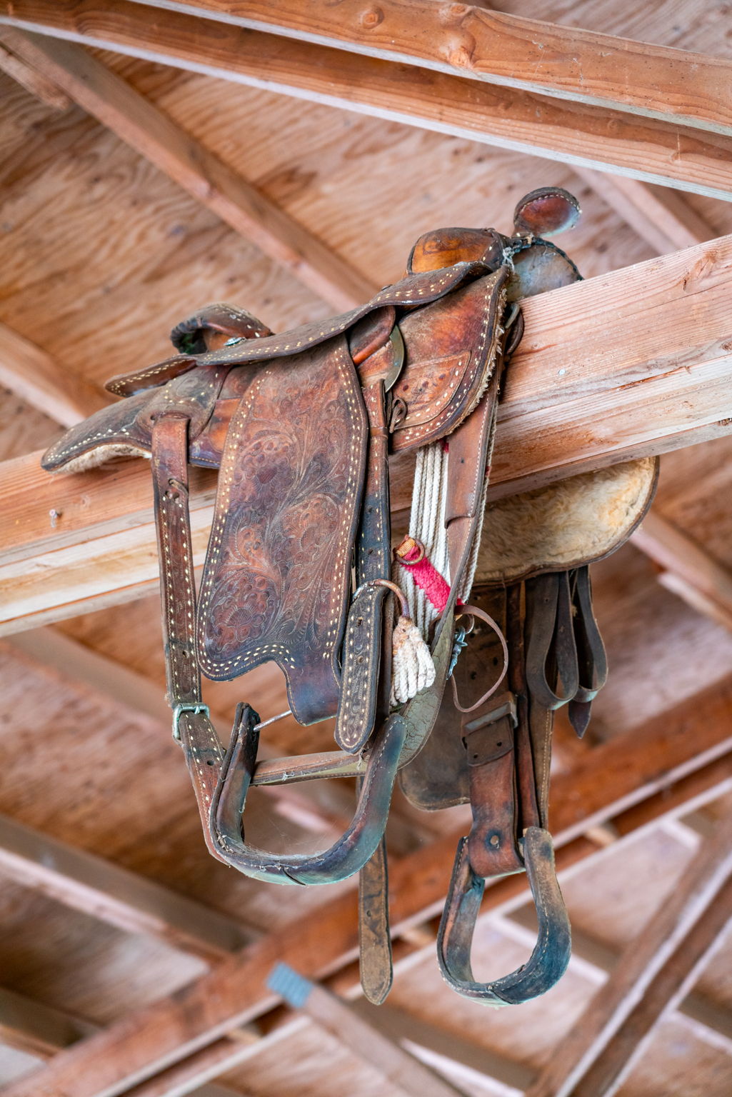 How Will You Help Me Price My Equestrian Property Competitively? header image.