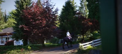 Stunning Equestrian Estate Tour header image.