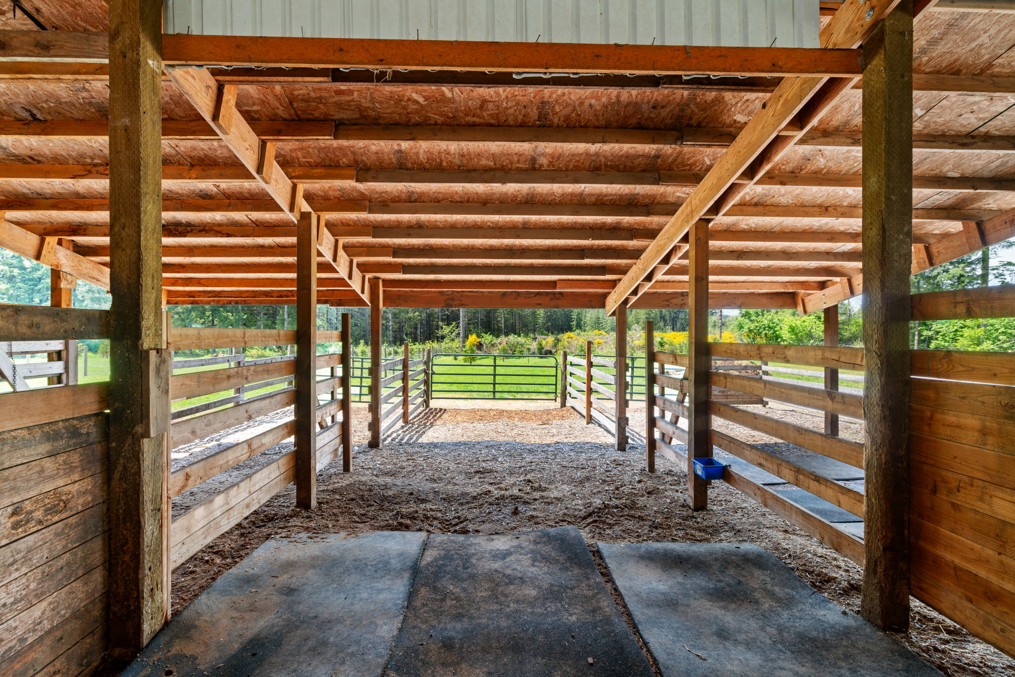 What Are the Real Ongoing Costs of Owning a Horse Property? header image.
