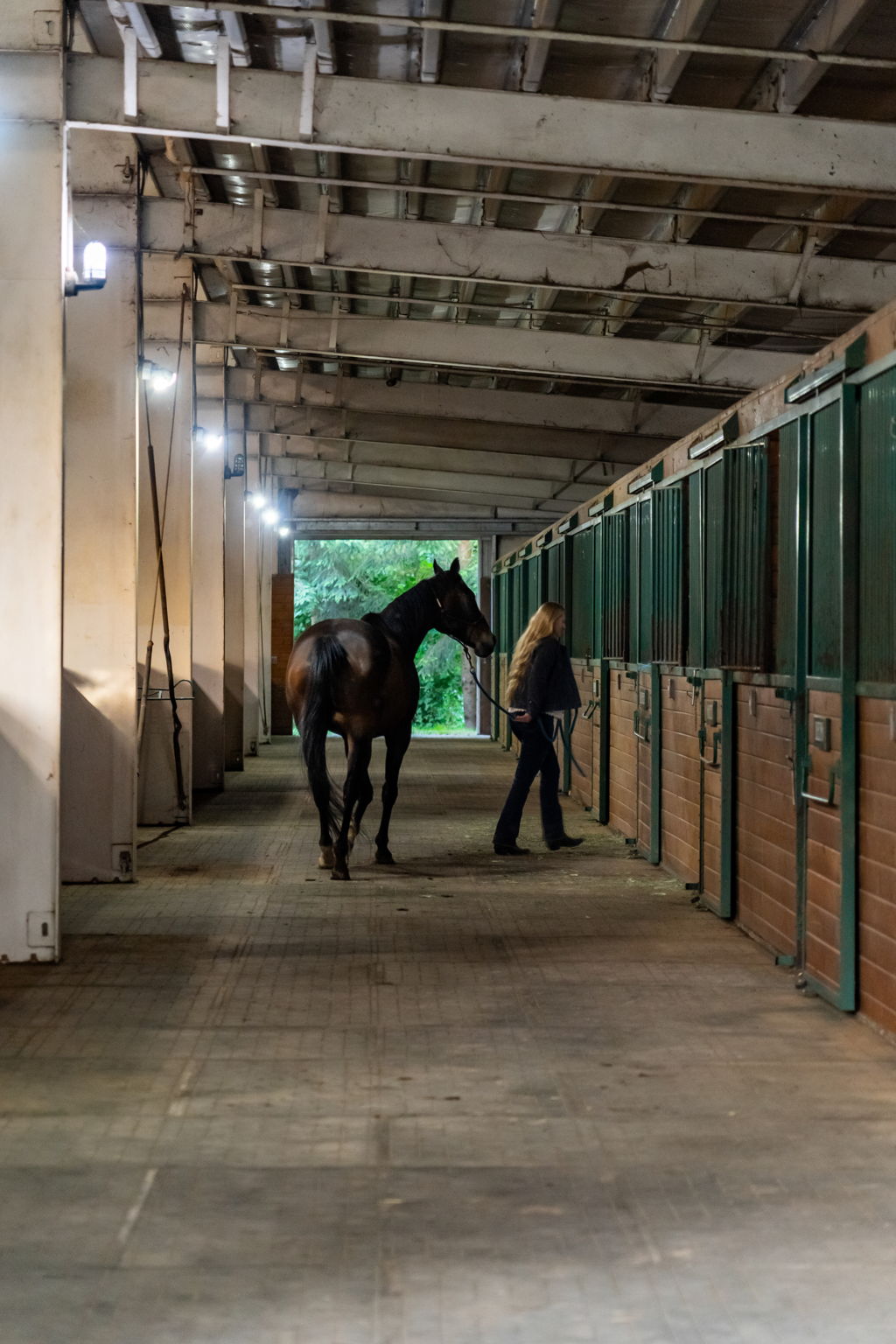 How Do You Handle Showings With Horses and Livestock on Site? header image.