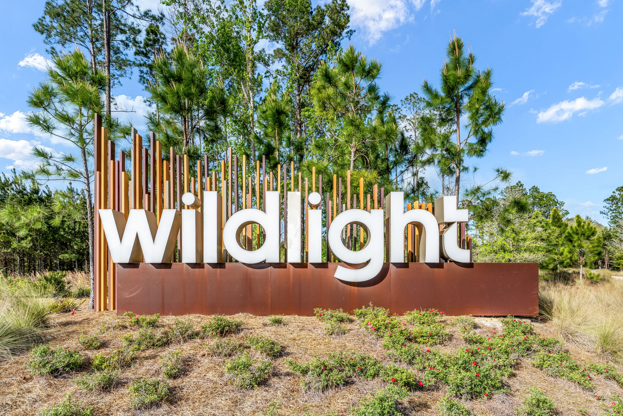Florida Lowcountry Living: Tour Two Stunning Homes in Wildlight This Friday header image.