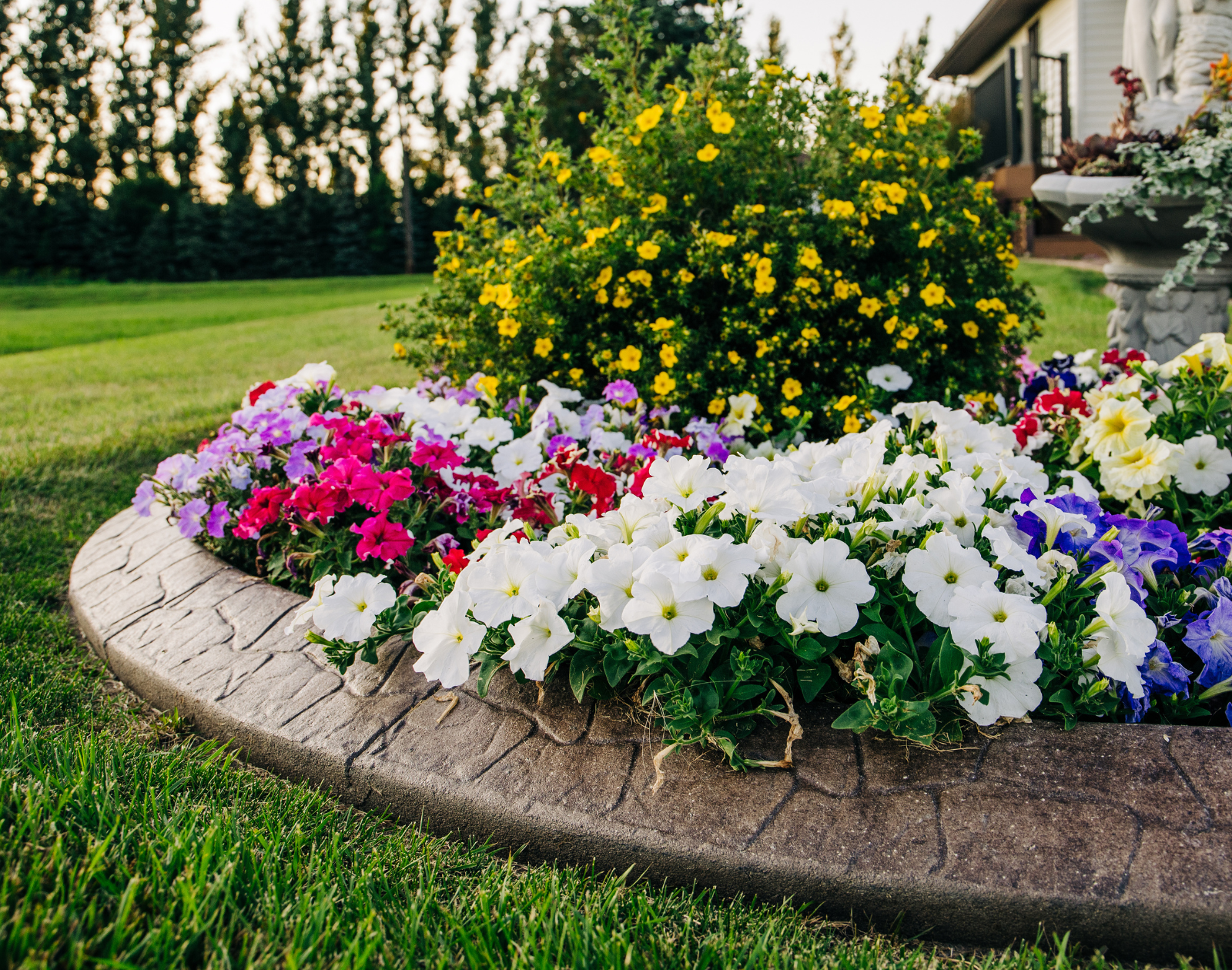 Boost Your Curb Appeal: Make Your Home the Neighborhood Showstopper header image.
