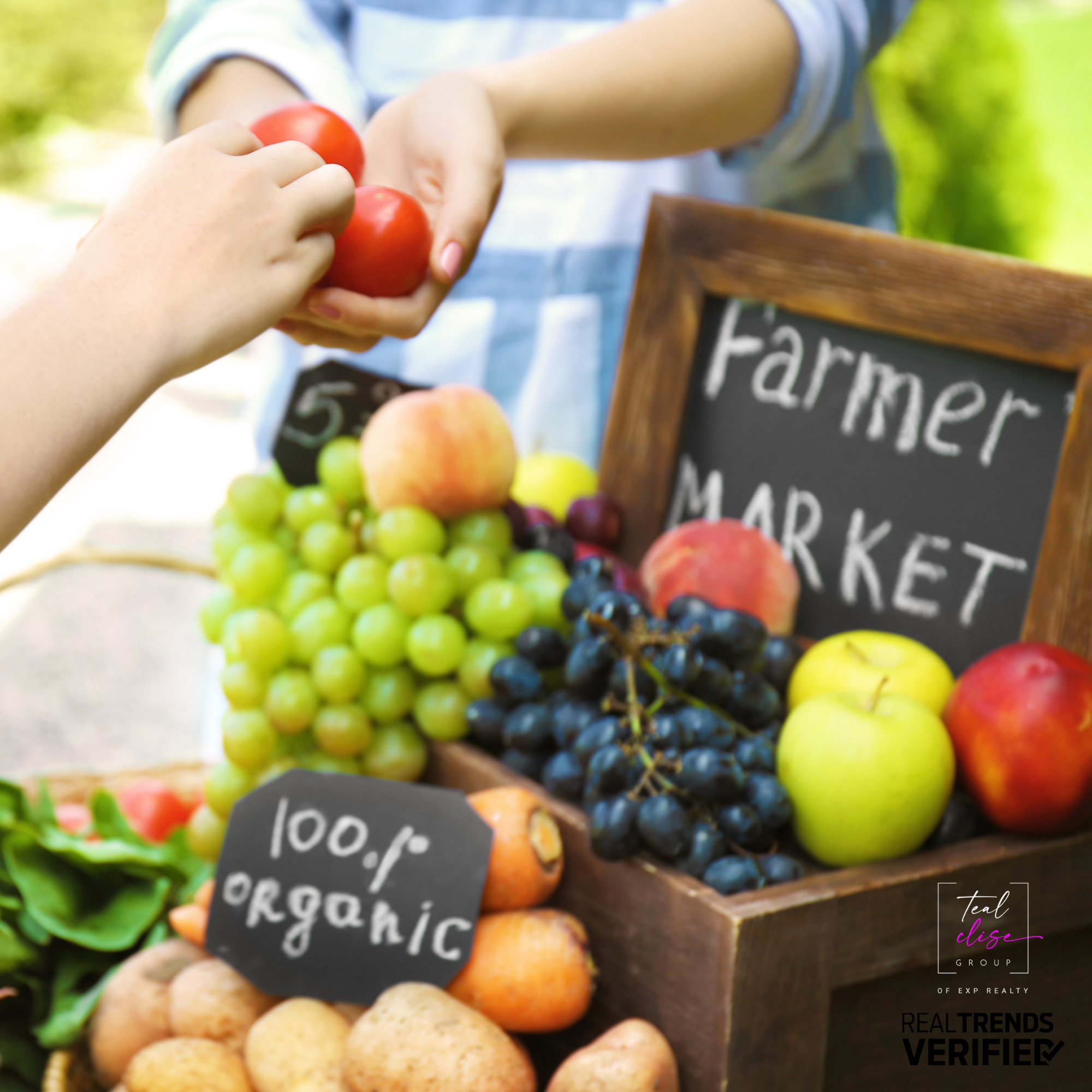 Close-up of a shopper buying fresh tomatoes at a Maryland farmers market stand, featuring organic produce like grapes, apples, and carrots with chalkboard signs. Highlights the local, community-based charm of markets in Harford and Baltimore Counties.