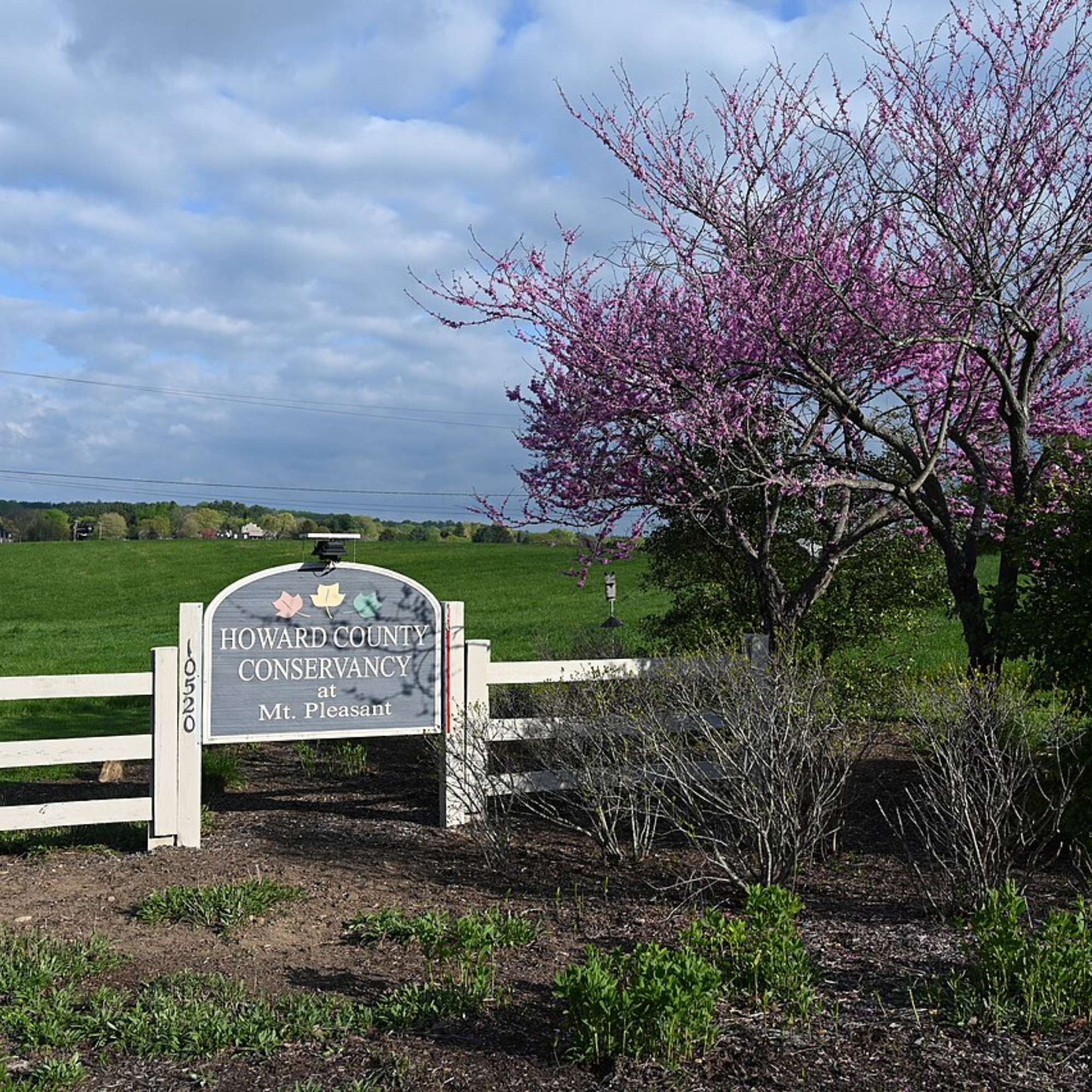 Scenic view at the Howard County Conservancy in Maryland, showcasing local natural beauty and open space, a highlight of life in Howard County.