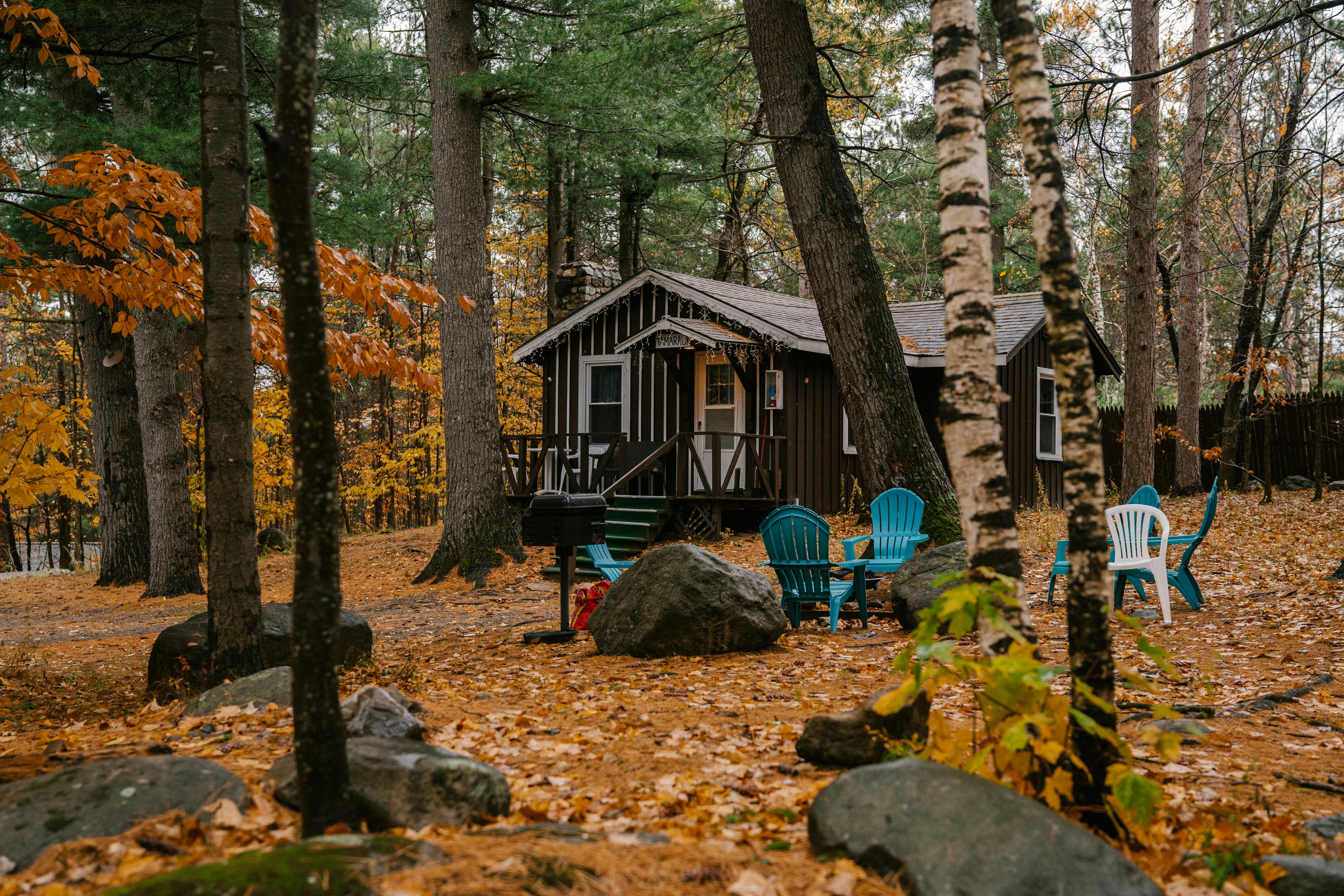 Small brown cabin surrounded by fall leaves