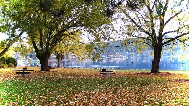 Boating and Parks in Bellingham header image.