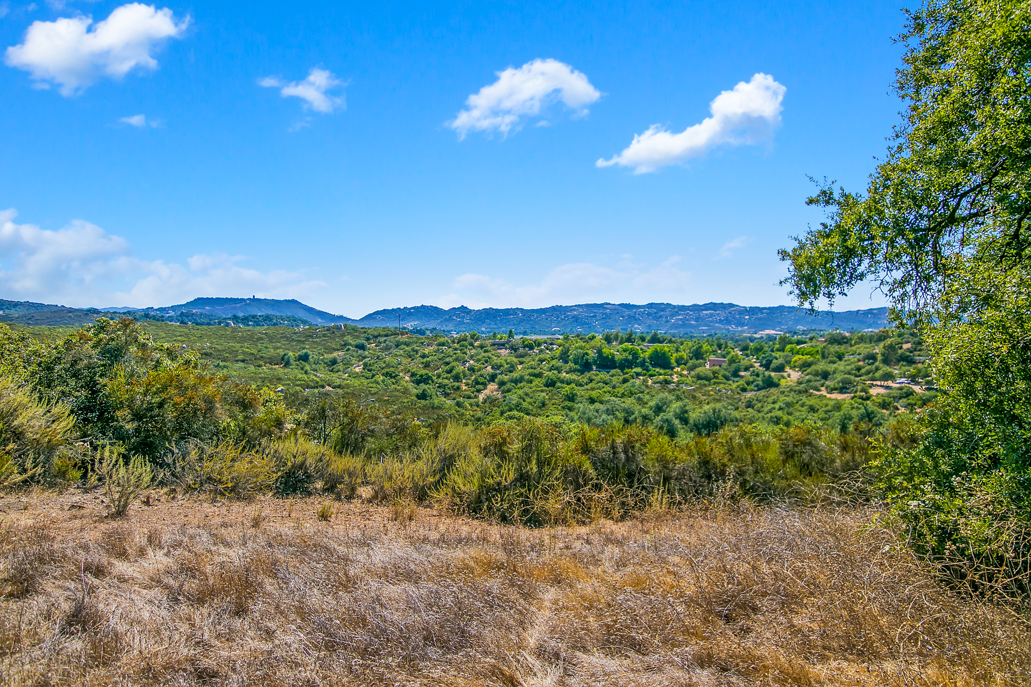 Build Your Dream Home! header image.