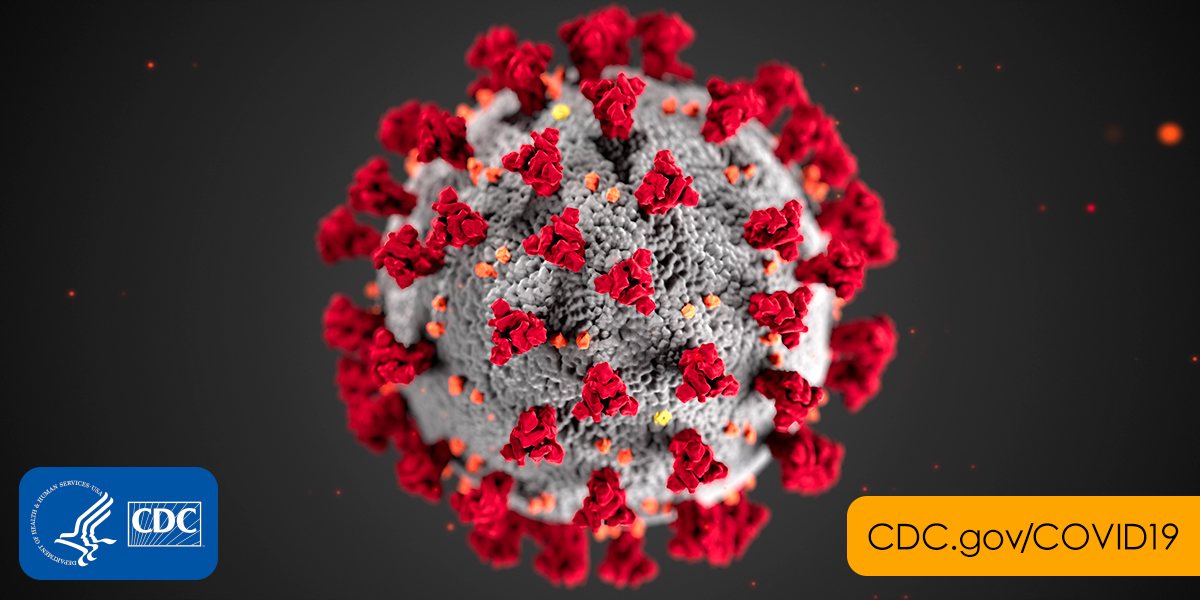 The Impact of the Coronavirus on the Housing Market header image.