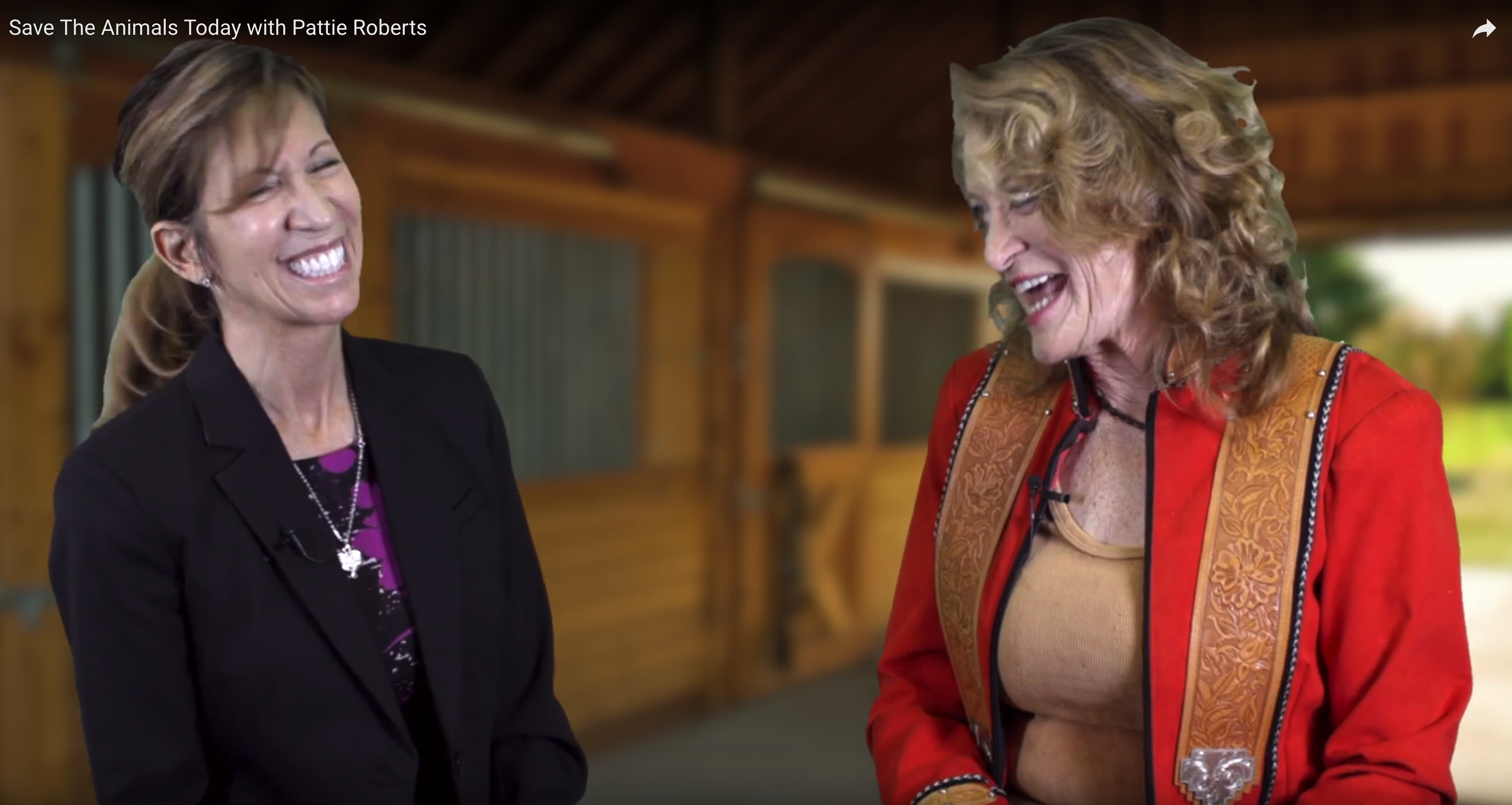 Meet Pattie Roberts, Save the Animals Today header image.